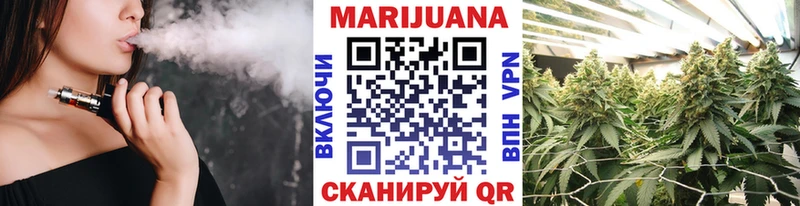 где найти Дно Канабис семена